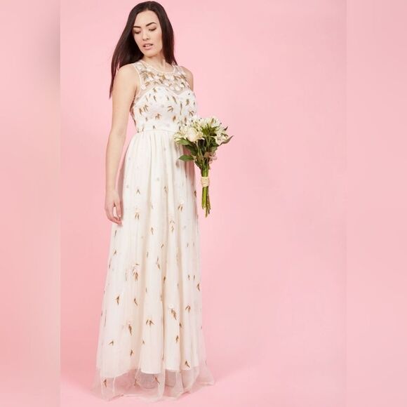 ModCloth The Simple‎ Truth Cream Pink Embroidered Tulle Maxi Dress Size L - Picture 1 of 10